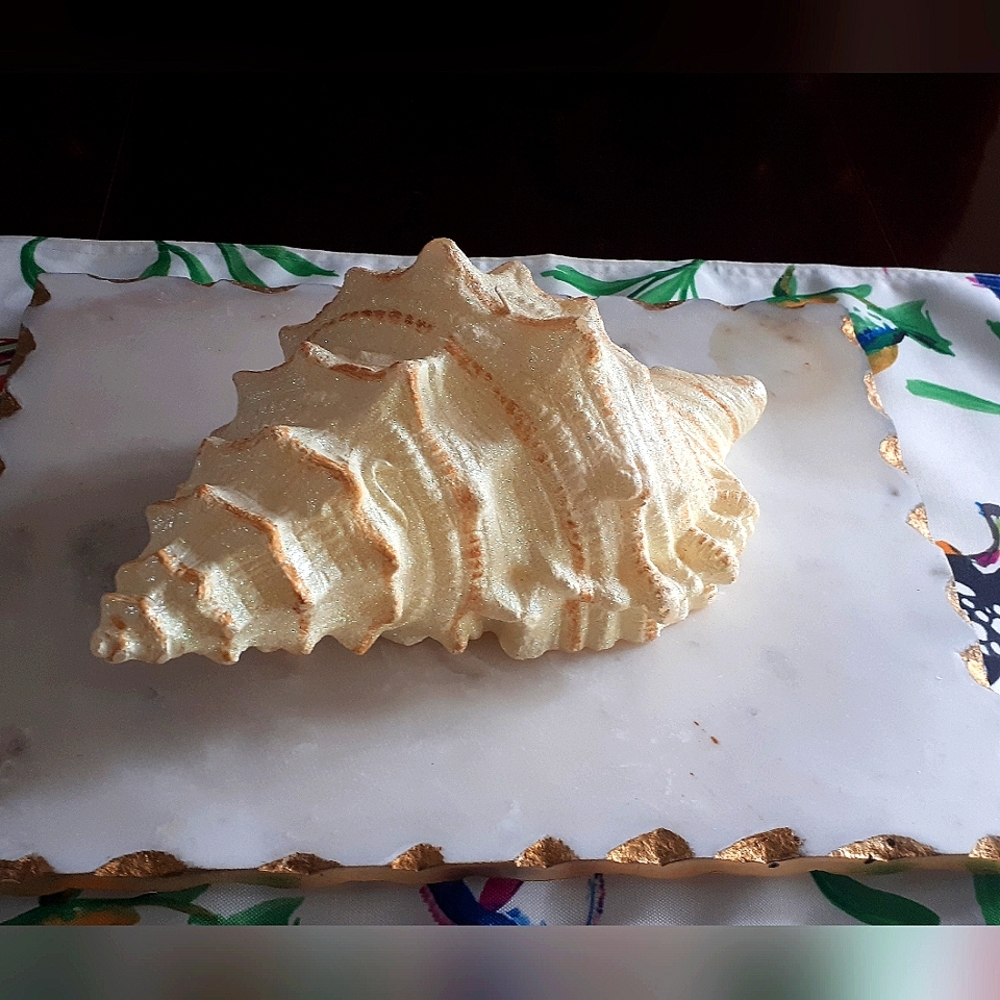 Large shell candle